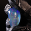 47.05ct Polished Specimen
