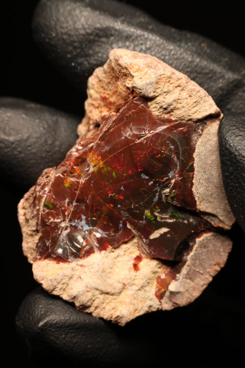 18.54g Rough Single Chocolate