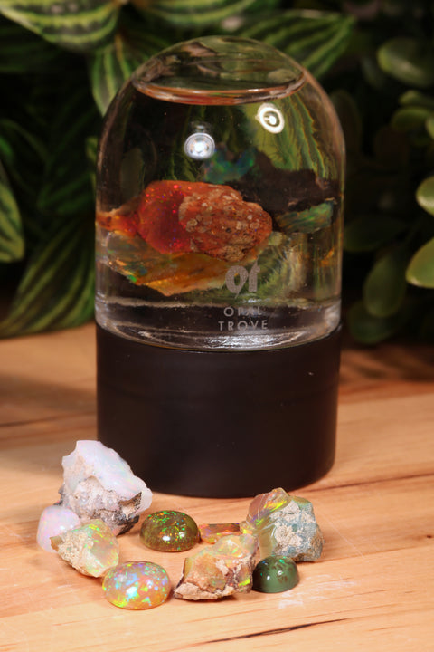 Happy Gena! 🇪🇹 30% Off New Drop