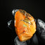36.00g Rough Specimen