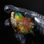 13.99g Rough Specimen