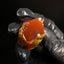 13.88g Rough Specimen