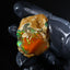 22.21g Rough Specimen
