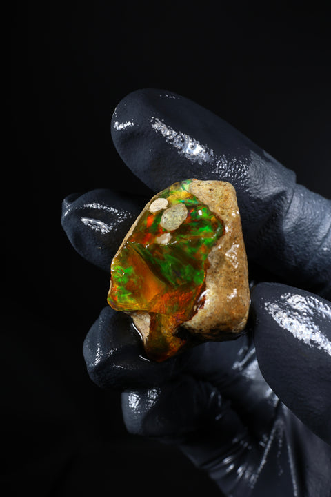 11.76g Rough Specimen