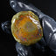 23.24g Rough Specimen