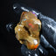 16.64g Rough Specimen