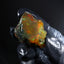 11.38g Rough Specimen