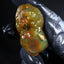 25.40g Rough Specimen