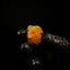 8.94g Rough Specimen