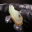 4.96g Rough Specimen