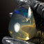 248.55ct Polished Specimen