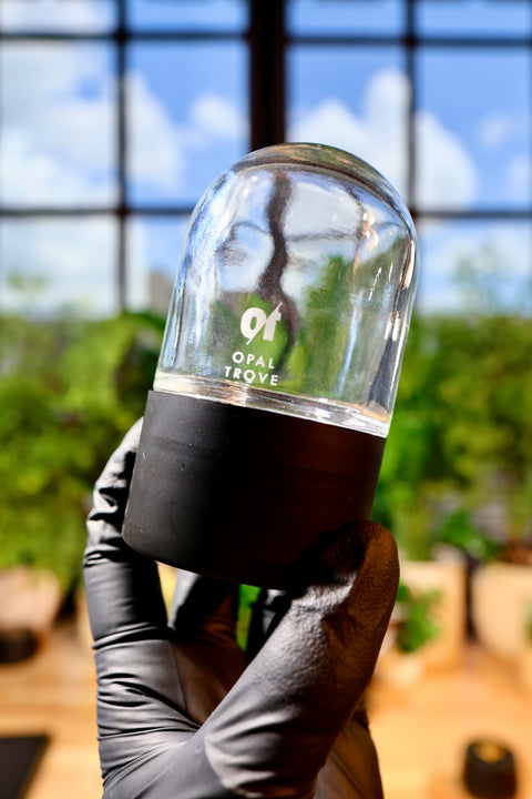 Dome Jars
