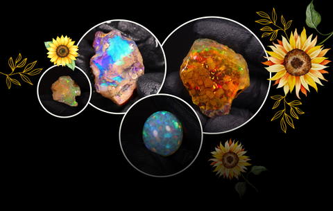 Summer Solstice Drop is here! 🌻