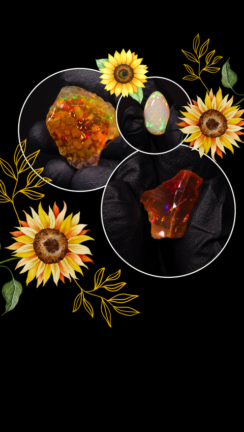 Summer Solstice Drop is here! 🌻