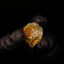 1.87g Rough Single