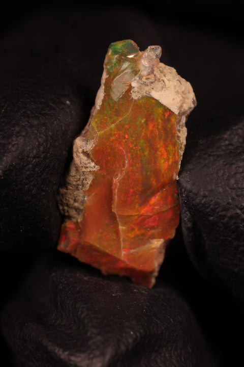 0.73g Rough Single