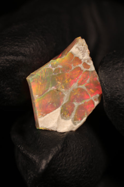0.83g Rough Single