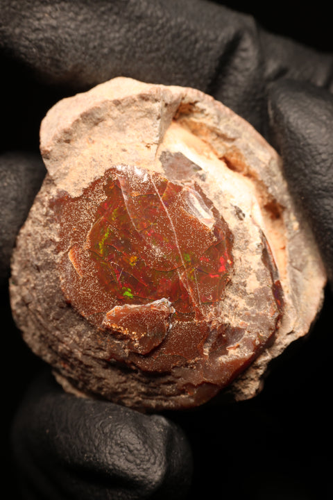 21.80g  Rough Chocolate