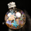 50g Snowflake Specimen Ornament