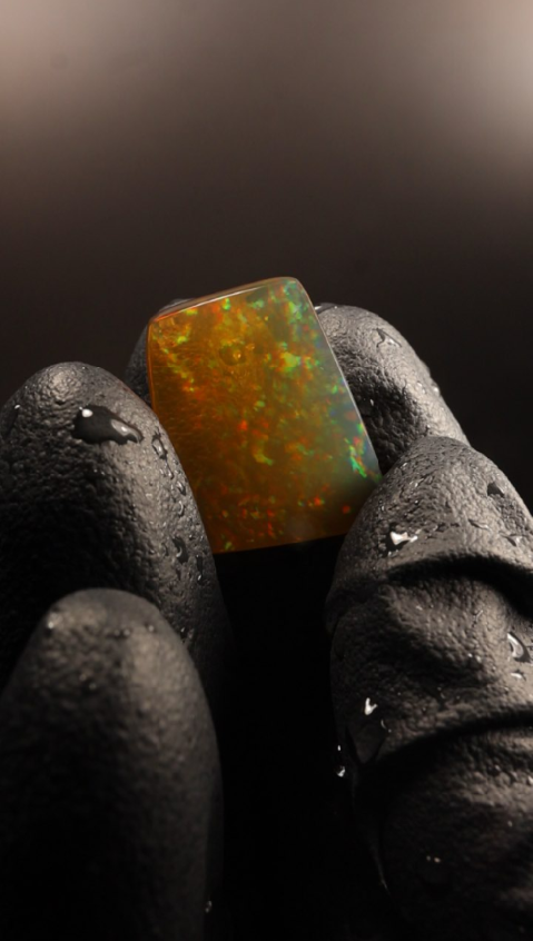 18.10ct Polished Specimen