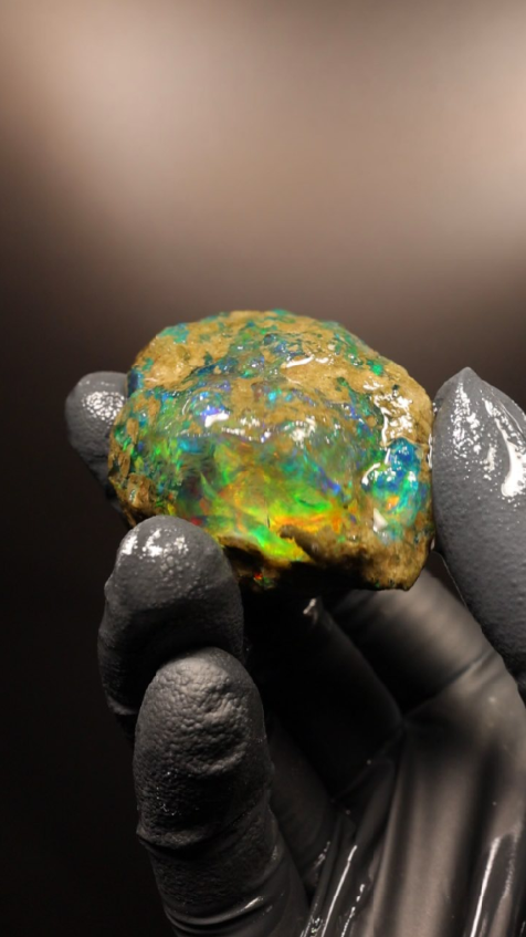 31.64g Rough Specimen