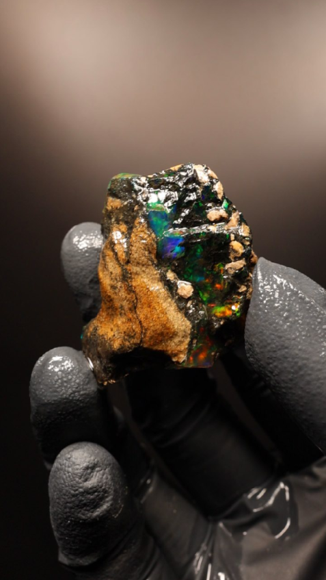 13.00g Rough Specimen