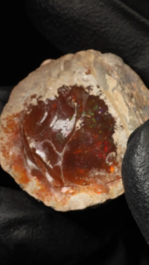17.94g Rough Single