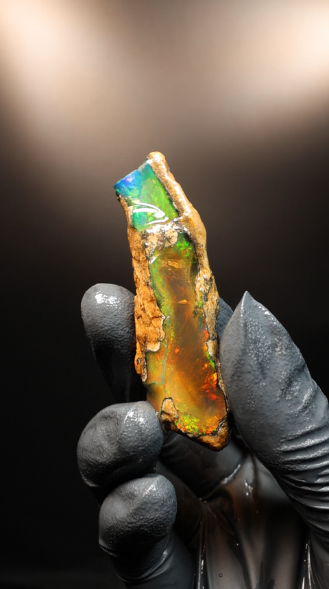 12.86g Rough Specimen