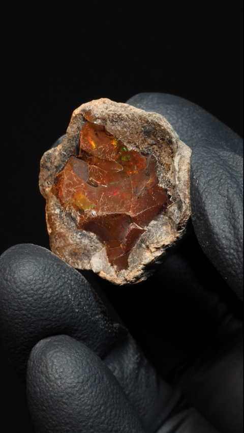 7.18g Rough Single Chocolate