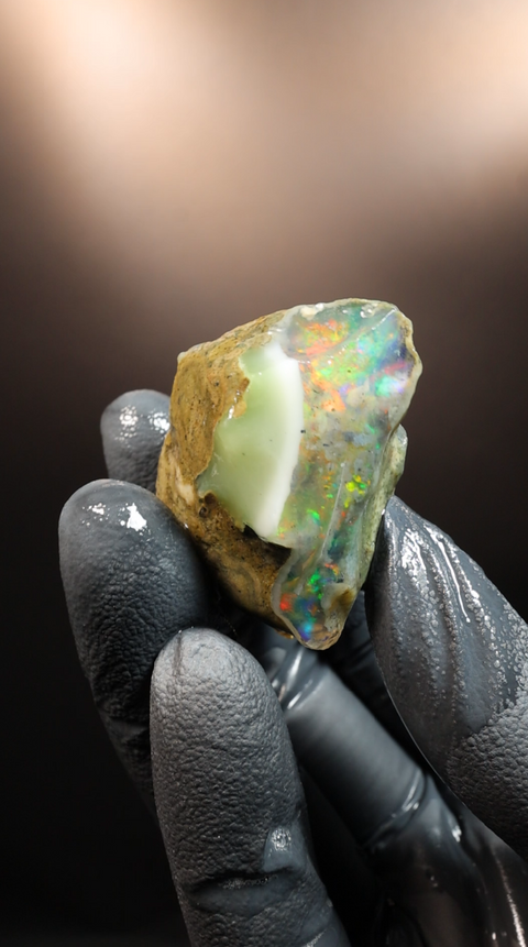 19.29g Rough Specimen