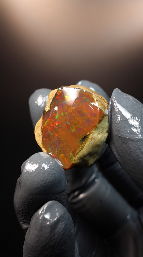 12.63g Rough Specimen