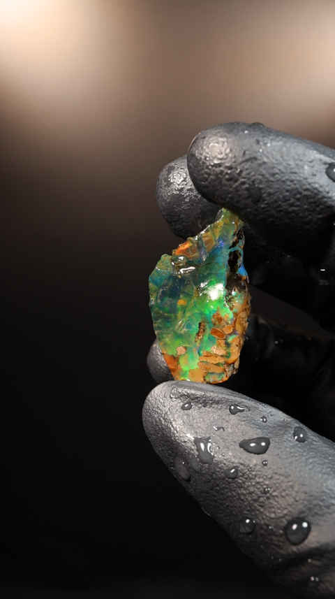 8.78g Rough Specimen
