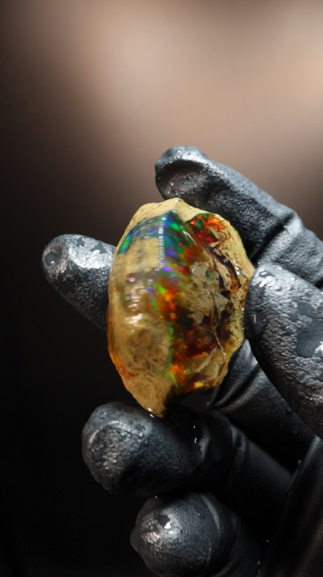 20.42g Rough Specimen