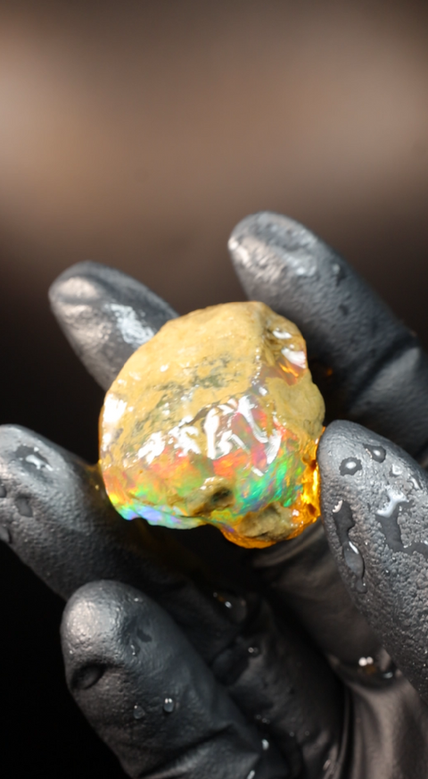 19.17g Rough Specimen