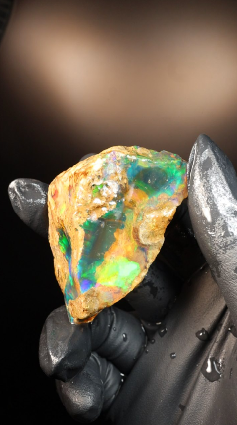44.54g Rough Specimen