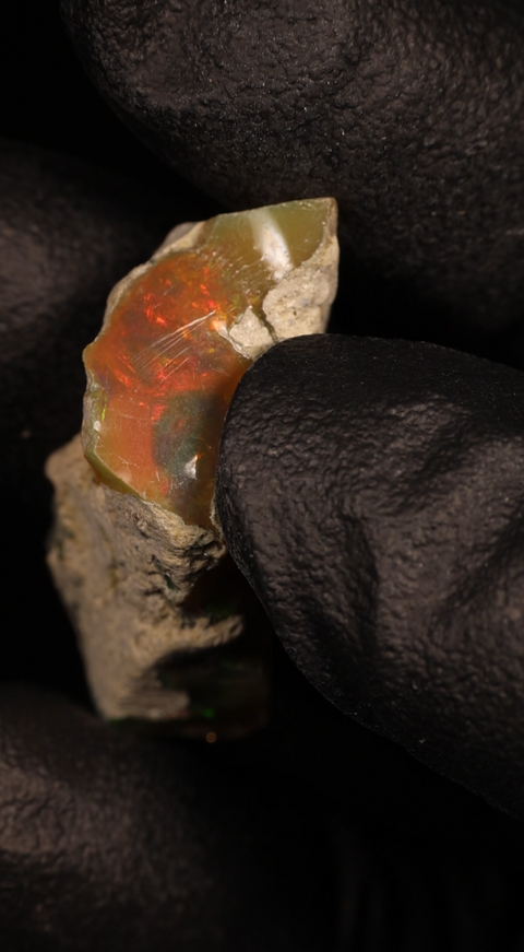 2.88g Rough Single