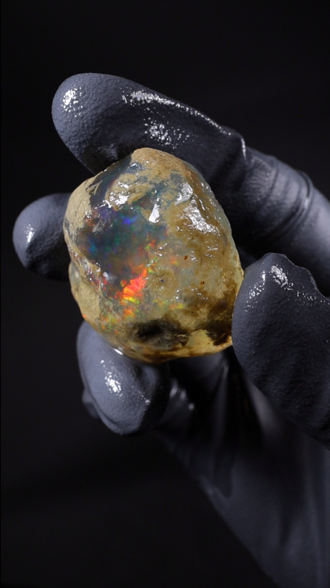 19.78g Rough Specimen