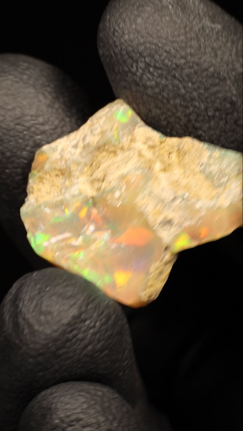 2.69g Rough Single