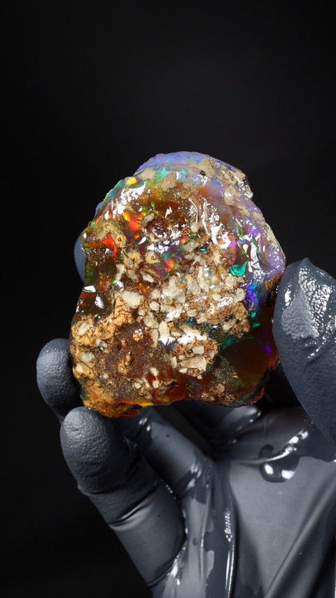 49.36g Rough Specimen