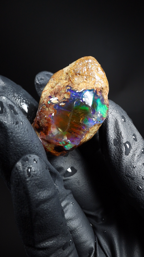 24.78g Rough Specimen