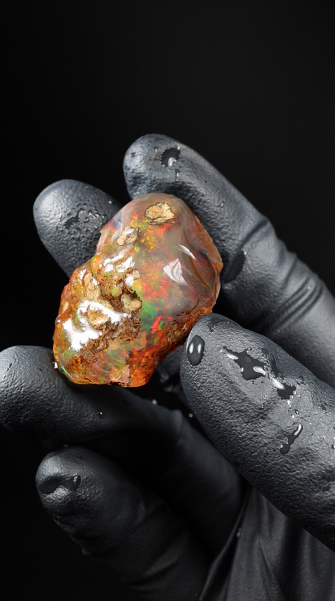 12.93g Rough Specimen