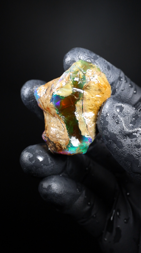 24.60g Rough Specimen