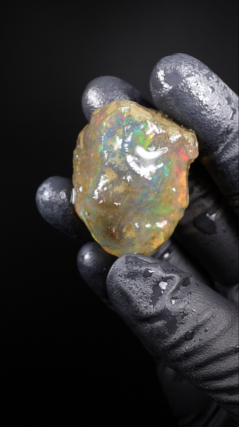 23.21g Rough Specimen