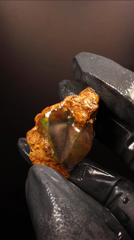 19.63g Rough Specimen