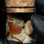 10g Dark Jewelry Grade Jar