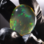 75.88ct Polished Specimen