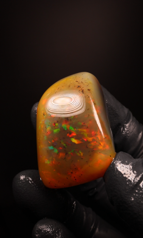 137.65ct Polished Specimen