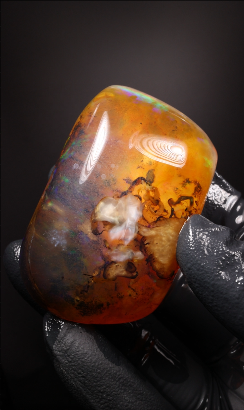 314.60ct Polished Specimen