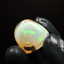 34.65ct Polished Specimen