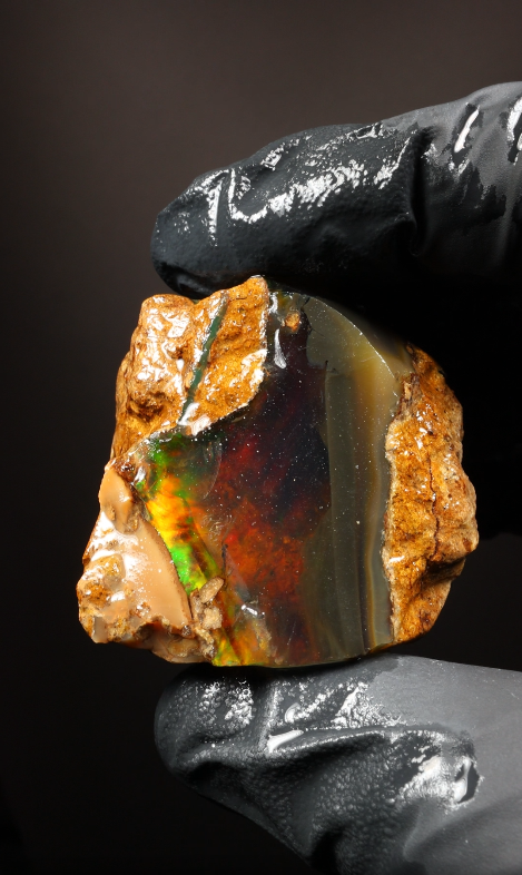 49.06g Rough Specimen